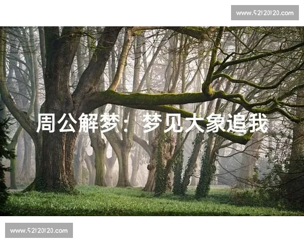 梦境启示与心灵探索解梦比赛跑背后的象征意义与人生启发深度解析